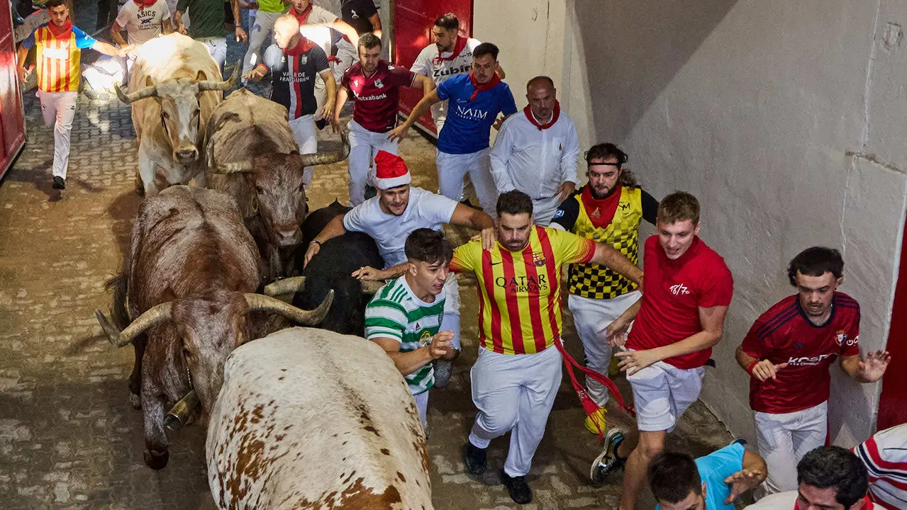 Séptimo encierro de San Fermín 2025 con toros de la ganadería de La Palmosilla en el tramo del callejón y la entrada a la Plaza de Toros. IÑIGO ALZUGARAY