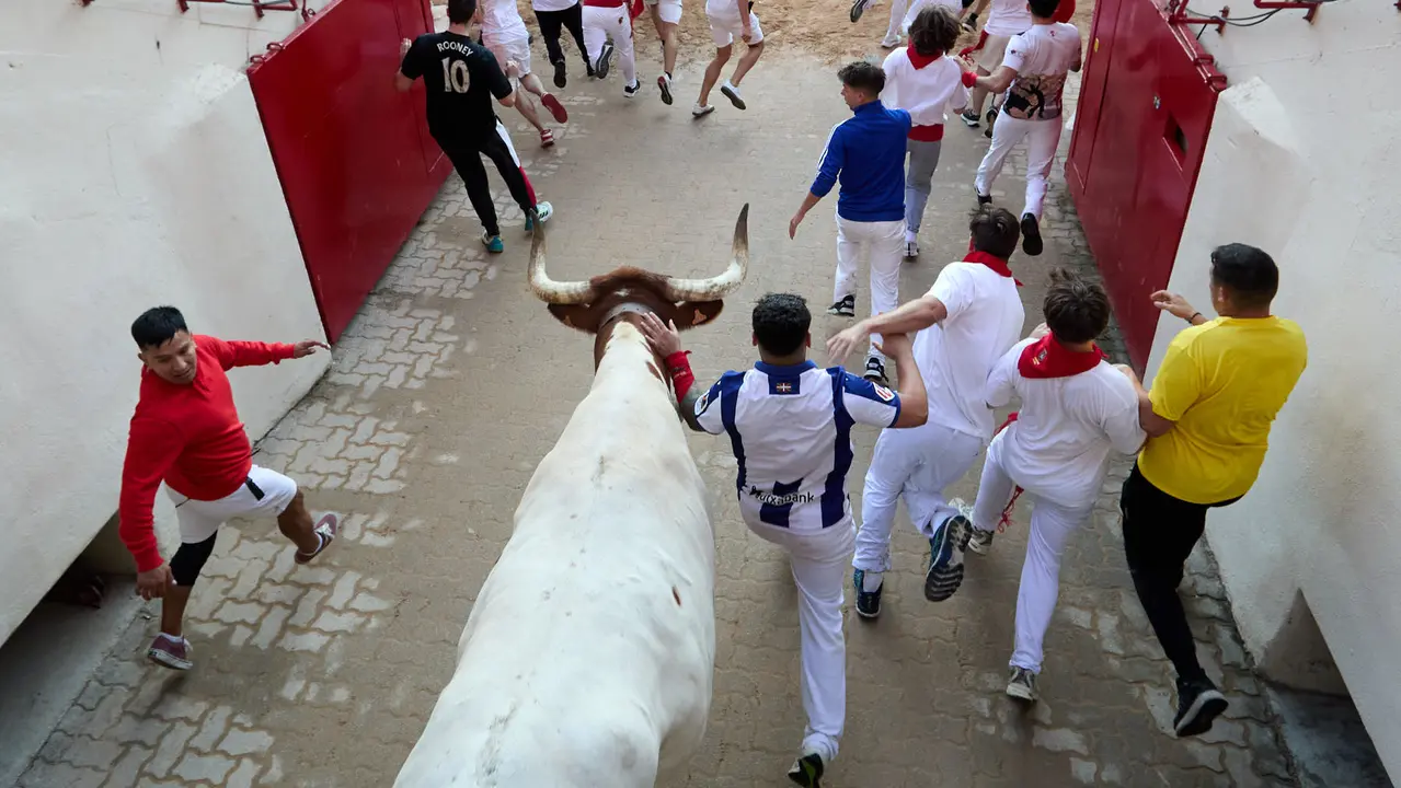 Séptimo encierro de San Fermín 2025 con toros de la ganadería de La Palmosilla en el tramo del callejón y la entrada a la Plaza de Toros. IÑIGO ALZUGARAY