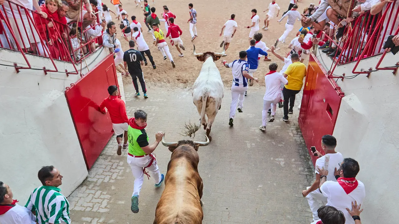 Séptimo encierro de San Fermín 2025 con toros de la ganadería de La Palmosilla en el tramo del callejón y la entrada a la Plaza de Toros. IÑIGO ALZUGARAY