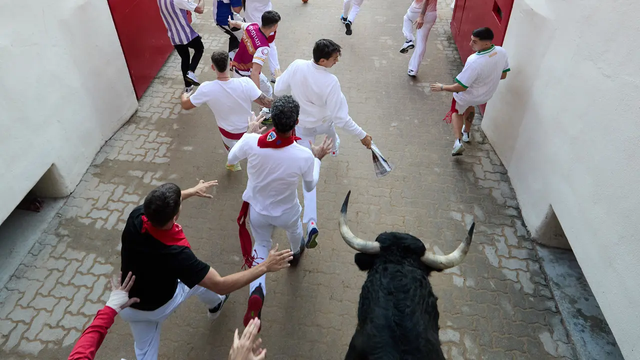 Séptimo encierro de San Fermín 2025 con toros de la ganadería de La Palmosilla en el tramo del callejón y la entrada a la Plaza de Toros. IÑIGO ALZUGARAY