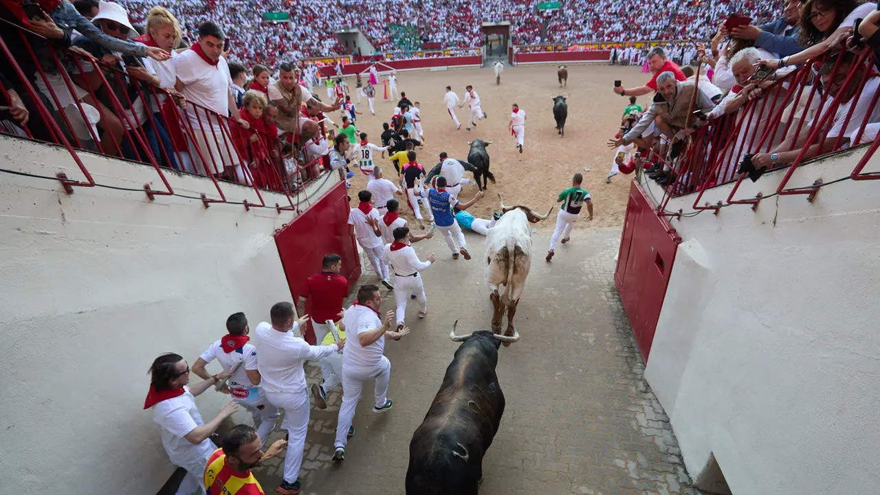Séptimo encierro de San Fermín 2025 con toros de la ganadería de La Palmosilla en el tramo del callejón y la entrada a la Plaza de Toros. IÑIGO ALZUGARAY