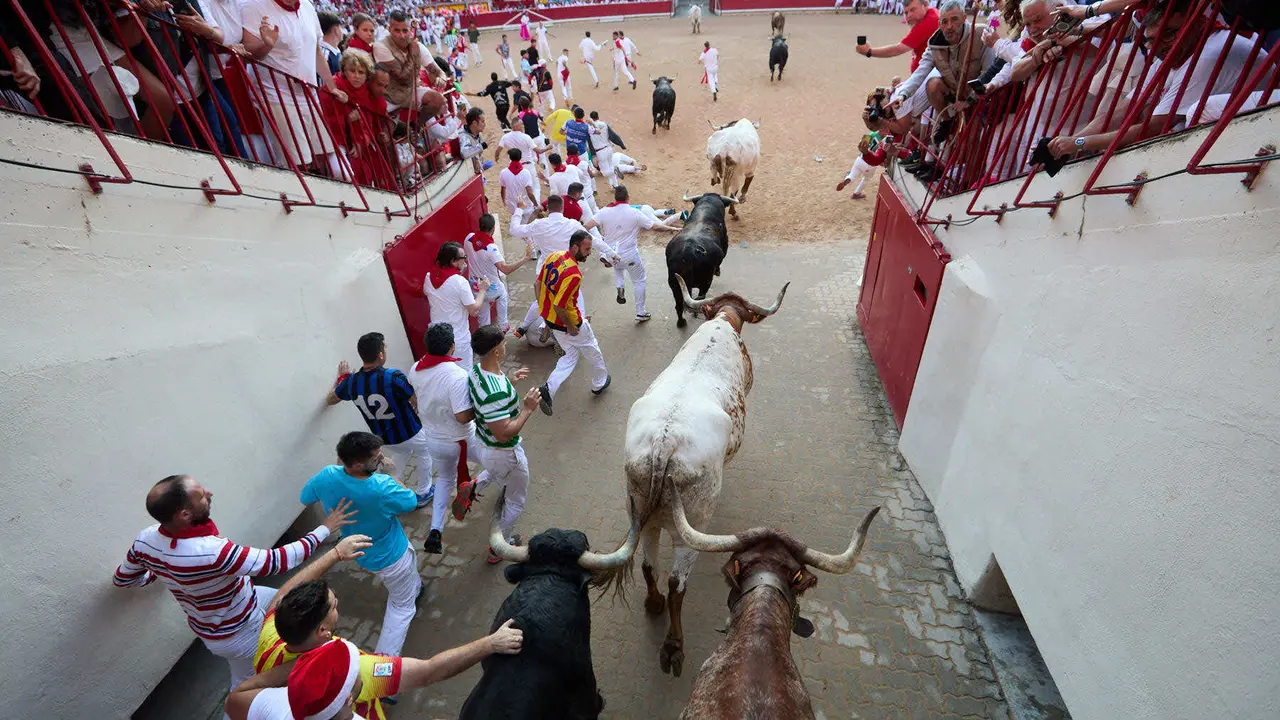 Séptimo encierro de San Fermín 2025 con toros de la ganadería de La Palmosilla en el tramo del callejón y la entrada a la Plaza de Toros. IÑIGO ALZUGARAY