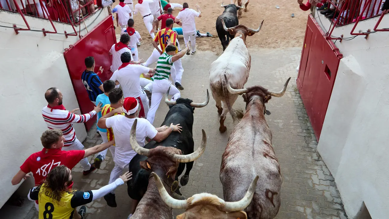 Séptimo encierro de San Fermín 2025 con toros de la ganadería de La Palmosilla en el tramo del callejón y la entrada a la Plaza de Toros. IÑIGO ALZUGARAY