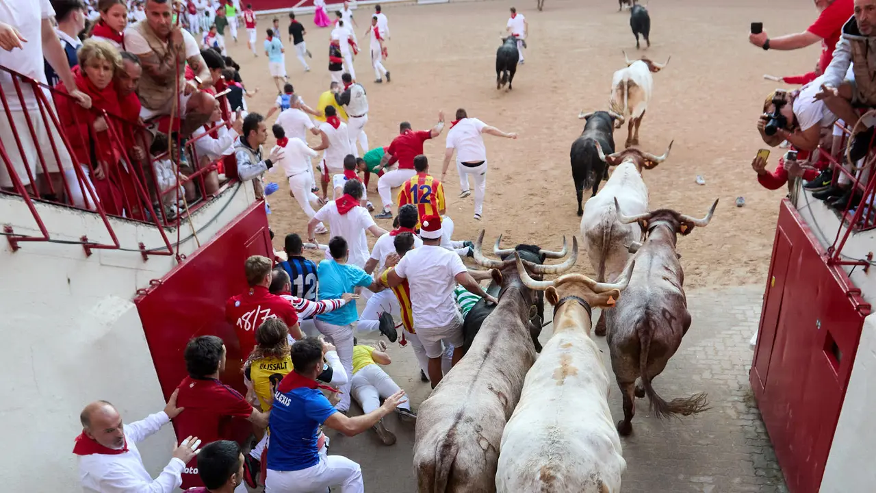Séptimo encierro de San Fermín 2025 con toros de la ganadería de La Palmosilla en el tramo del callejón y la entrada a la Plaza de Toros. IÑIGO ALZUGARAY