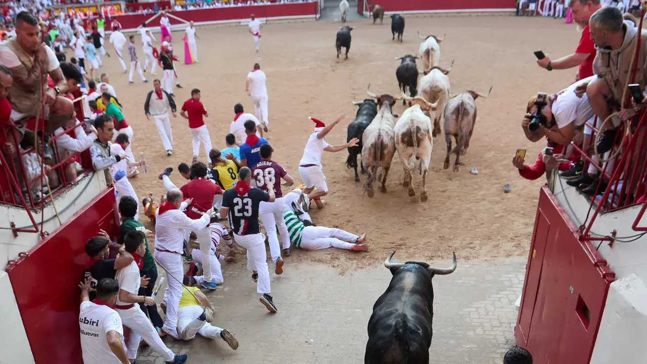Séptimo encierro de San Fermín 2025 con toros de la ganadería de La Palmosilla en el tramo del callejón y la entrada a la Plaza de Toros. IÑIGO ALZUGARAY