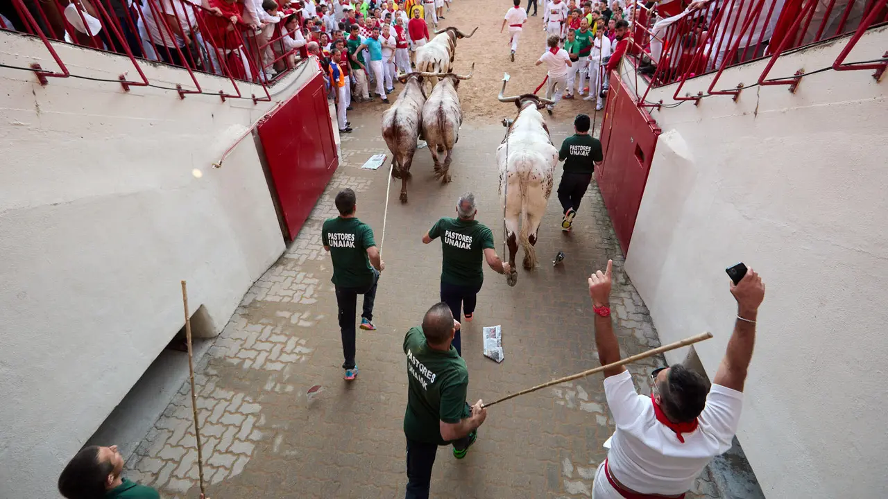 Séptimo encierro de San Fermín 2025 con toros de la ganadería de La Palmosilla en el tramo del callejón y la entrada a la Plaza de Toros. IÑIGO ALZUGARAY