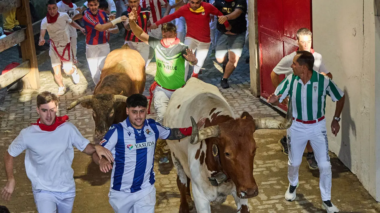 Séptimo encierro de San Fermín 2025 con toros de la ganadería de La Palmosilla en el tramo del callejón y la entrada a la Plaza de Toros. IÑIGO ALZUGARAY