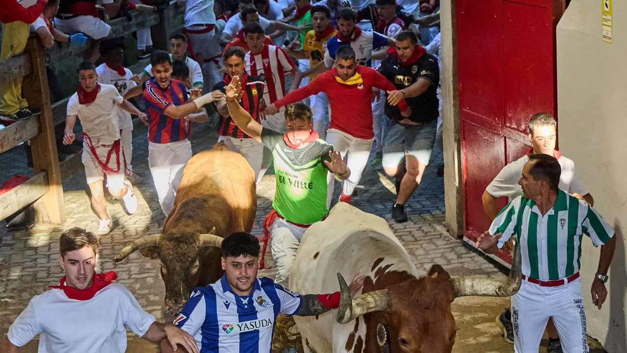 Séptimo encierro de San Fermín 2025 con toros de la ganadería de La Palmosilla en el tramo del callejón y la entrada a la Plaza de Toros. IÑIGO ALZUGARAY