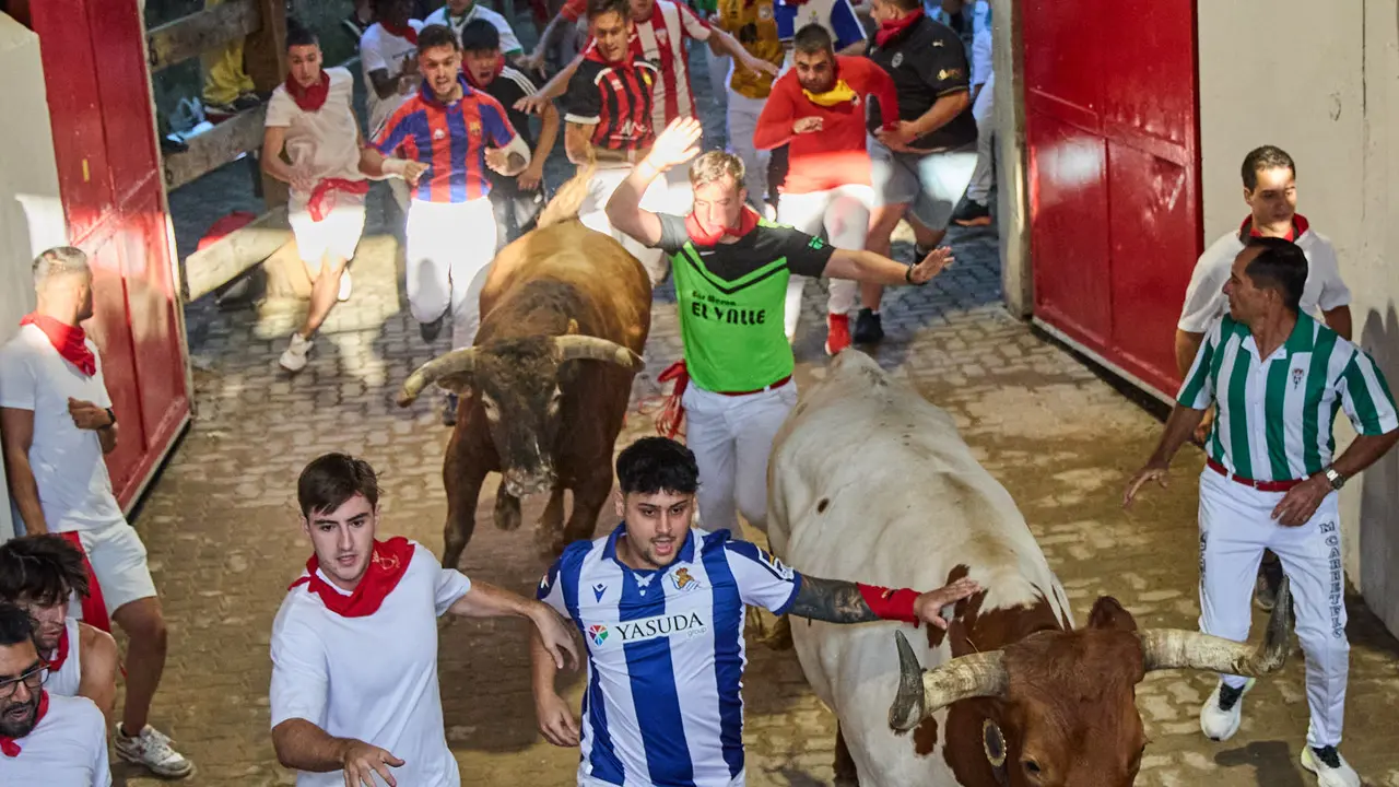 Séptimo encierro de San Fermín 2025 con toros de la ganadería de La Palmosilla en el tramo del callejón y la entrada a la Plaza de Toros. IÑIGO ALZUGARAY