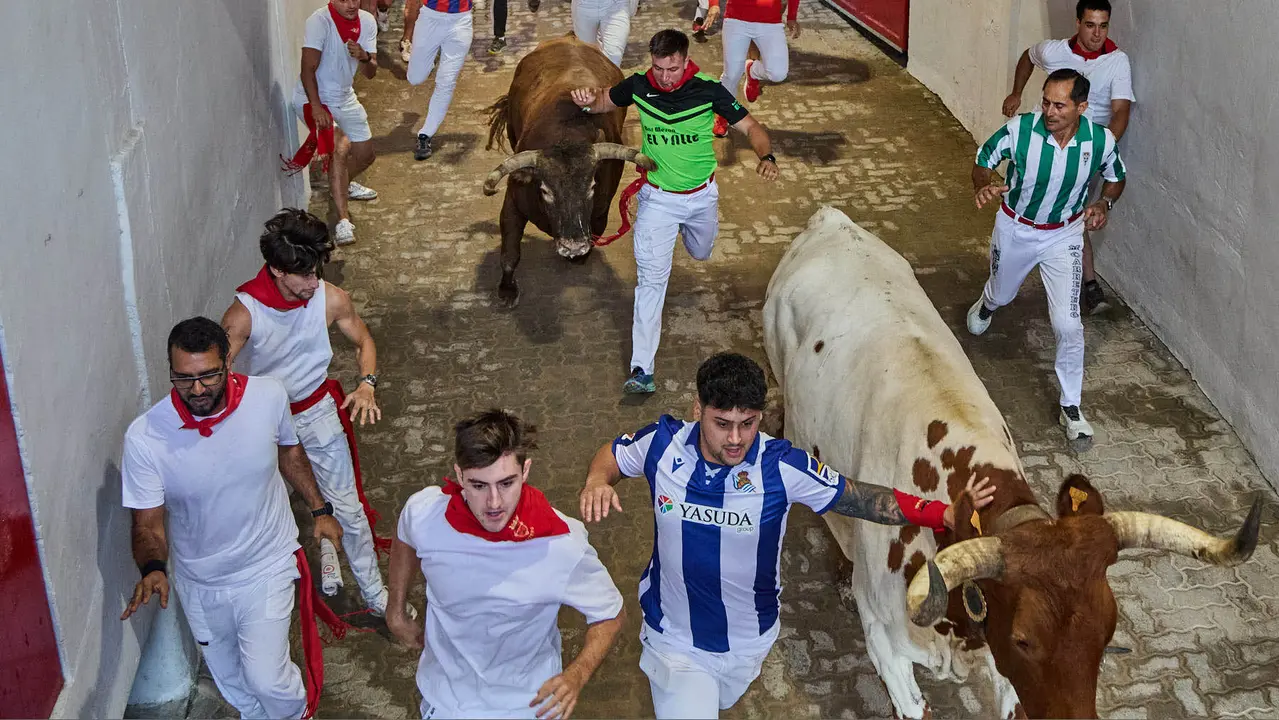Séptimo encierro de San Fermín 2025 con toros de la ganadería de La Palmosilla en el tramo del callejón y la entrada a la Plaza de Toros. IÑIGO ALZUGARAY