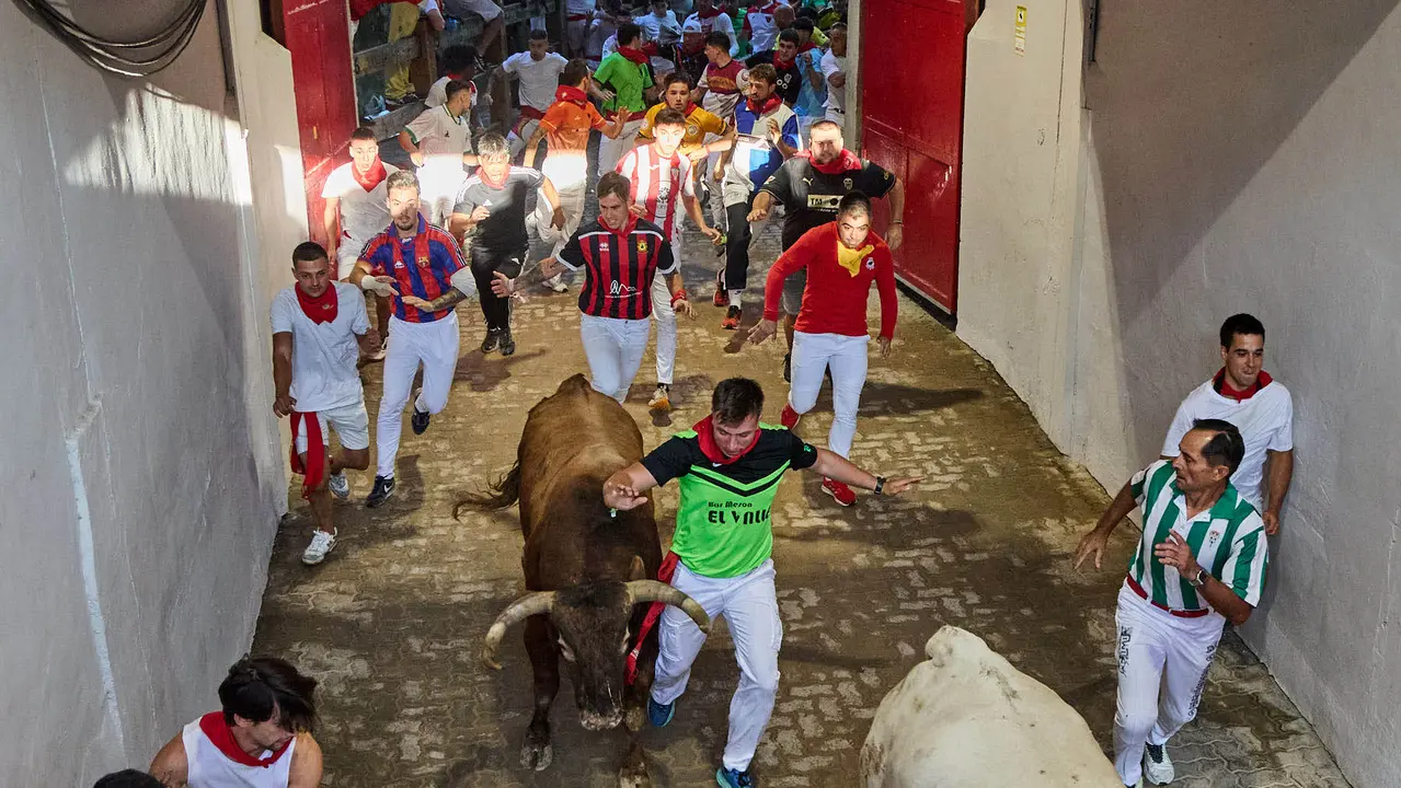 Séptimo encierro de San Fermín 2025 con toros de la ganadería de La Palmosilla en el tramo del callejón y la entrada a la Plaza de Toros. IÑIGO ALZUGARAY
