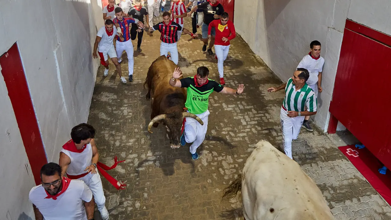 Séptimo encierro de San Fermín 2025 con toros de la ganadería de La Palmosilla en el tramo del callejón y la entrada a la Plaza de Toros. IÑIGO ALZUGARAY
