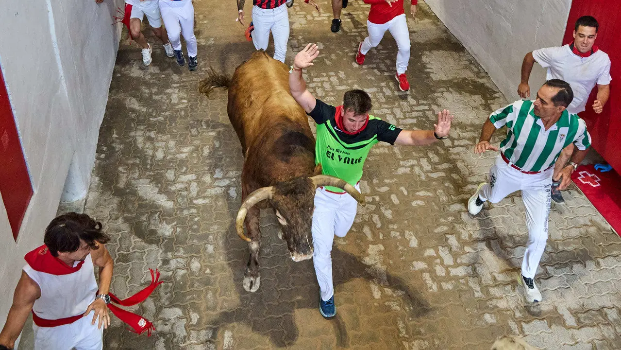 Séptimo encierro de San Fermín 2025 con toros de la ganadería de La Palmosilla en el tramo del callejón y la entrada a la Plaza de Toros. IÑIGO ALZUGARAY