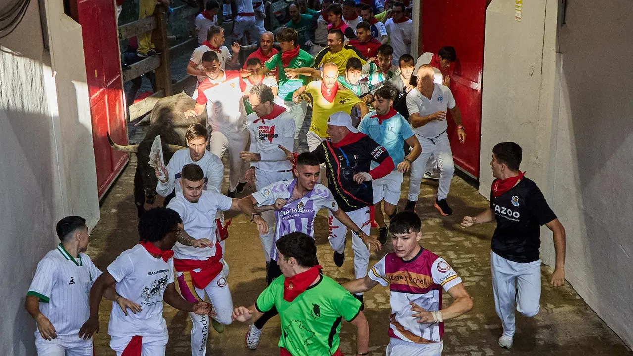 Séptimo encierro de San Fermín 2025 con toros de la ganadería de La Palmosilla en el tramo del callejón y la entrada a la Plaza de Toros. IÑIGO ALZUGARAY