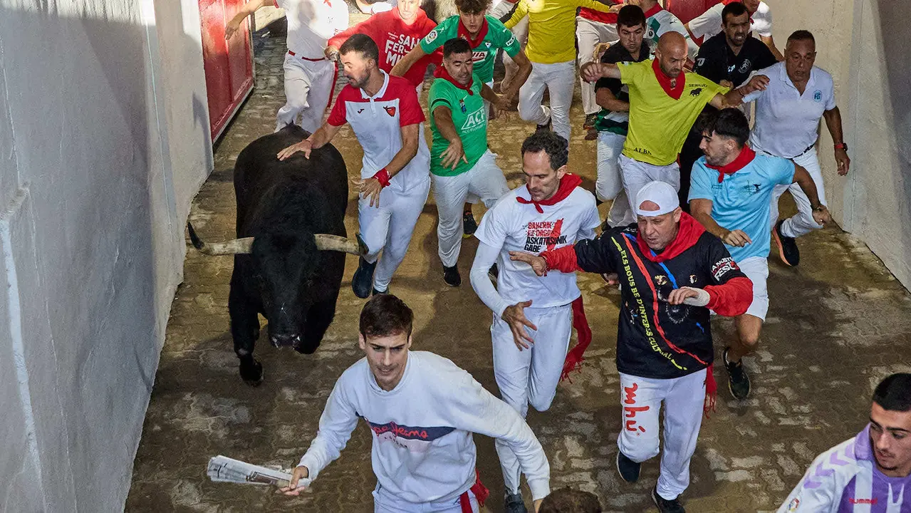 Séptimo encierro de San Fermín 2025 con toros de la ganadería de La Palmosilla en el tramo del callejón y la entrada a la Plaza de Toros. IÑIGO ALZUGARAY