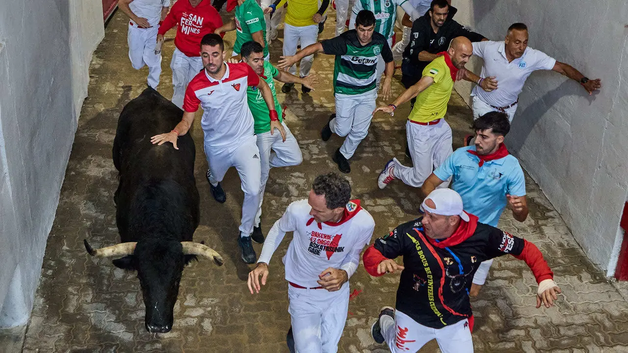 Séptimo encierro de San Fermín 2025 con toros de la ganadería de La Palmosilla en el tramo del callejón y la entrada a la Plaza de Toros. IÑIGO ALZUGARAY