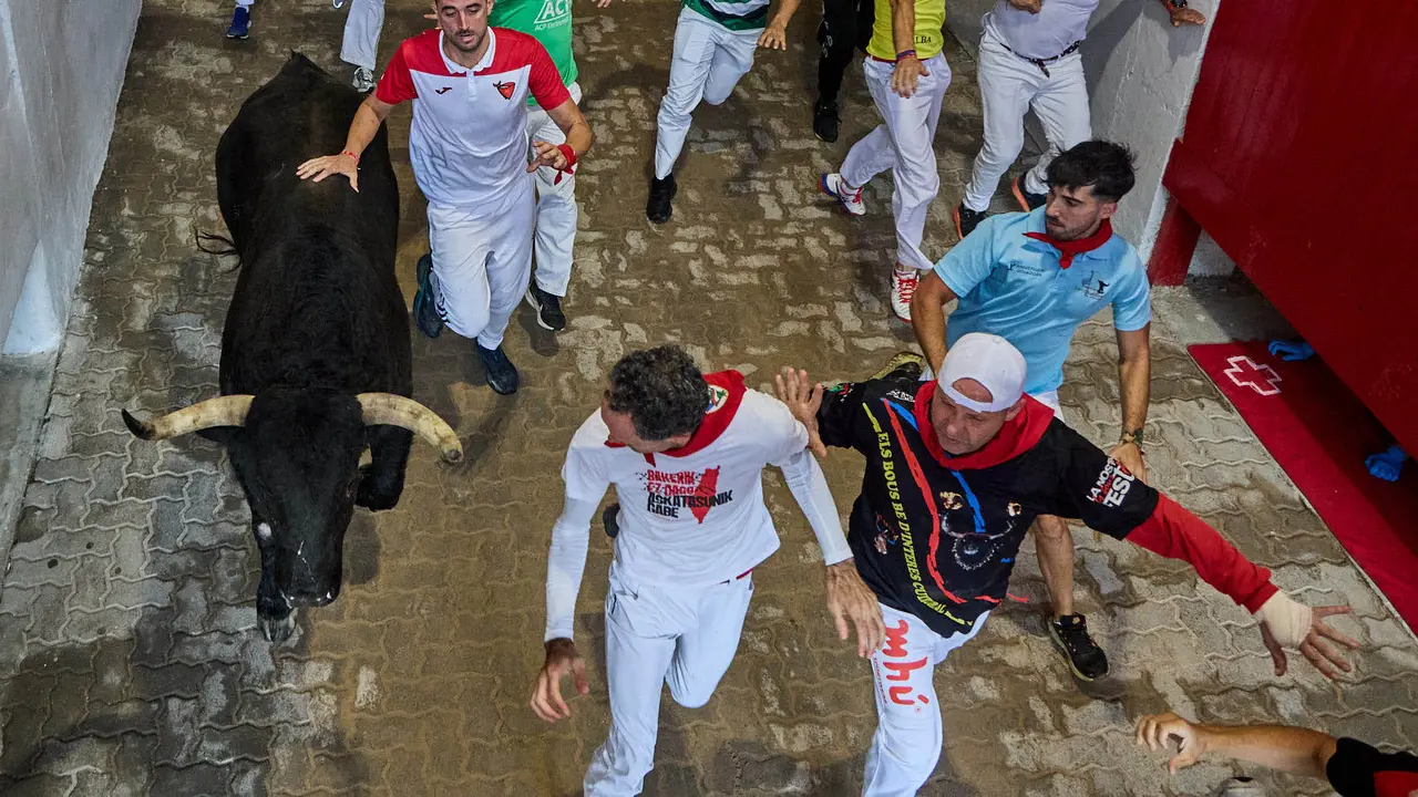 Séptimo encierro de San Fermín 2025 con toros de la ganadería de La Palmosilla en el tramo del callejón y la entrada a la Plaza de Toros. IÑIGO ALZUGARAY