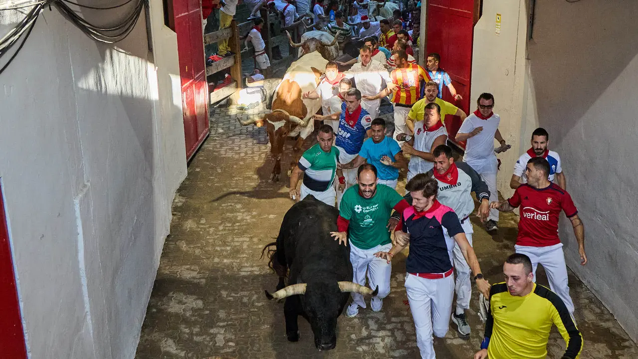 Séptimo encierro de San Fermín 2025 con toros de la ganadería de La Palmosilla en el tramo del callejón y la entrada a la Plaza de Toros. IÑIGO ALZUGARAY