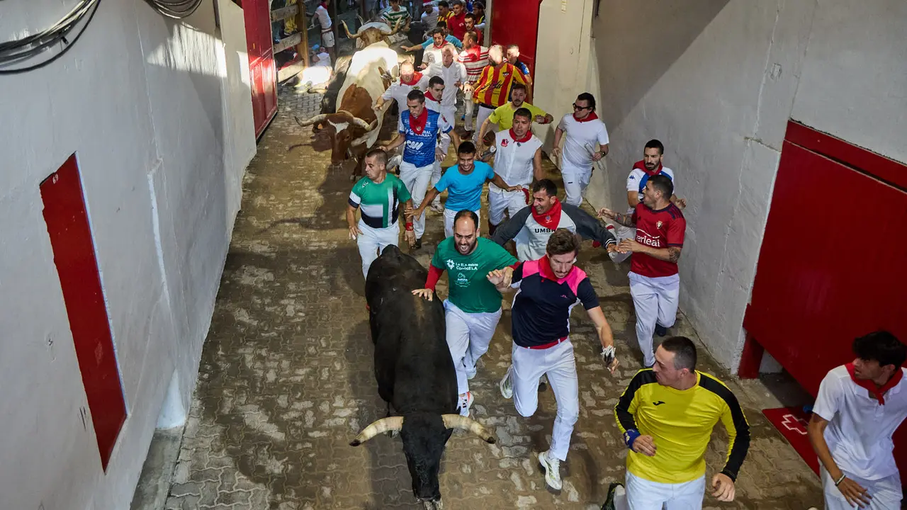 Séptimo encierro de San Fermín 2025 con toros de la ganadería de La Palmosilla en el tramo del callejón y la entrada a la Plaza de Toros. IÑIGO ALZUGARAY