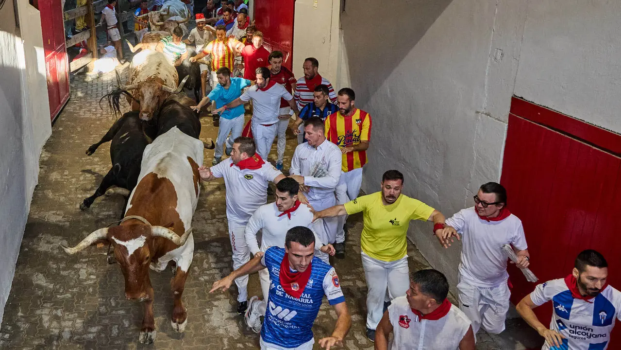 Séptimo encierro de San Fermín 2025 con toros de la ganadería de La Palmosilla en el tramo del callejón y la entrada a la Plaza de Toros. IÑIGO ALZUGARAY