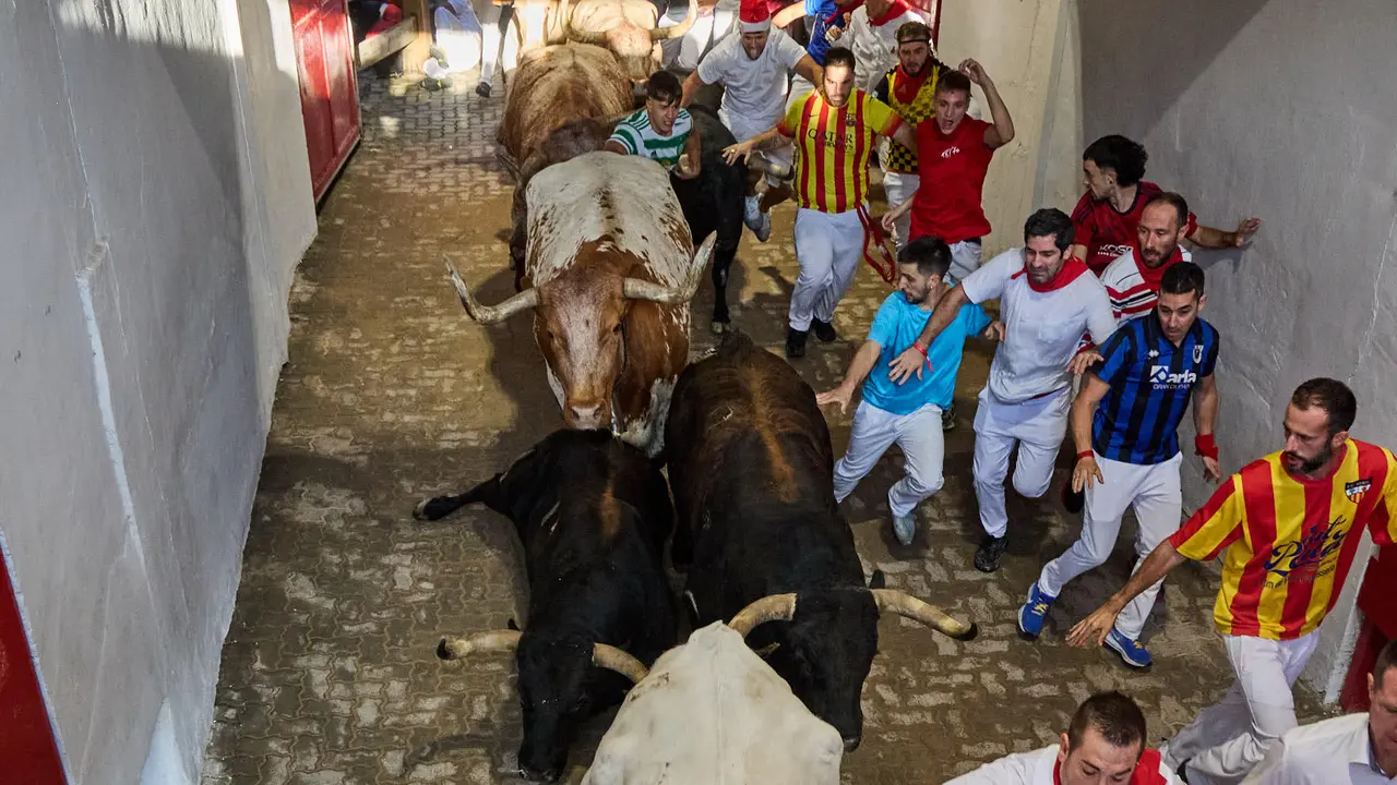 Séptimo encierro de San Fermín 2025 con toros de la ganadería de La Palmosilla en el tramo del callejón y la entrada a la Plaza de Toros. IÑIGO ALZUGARAY