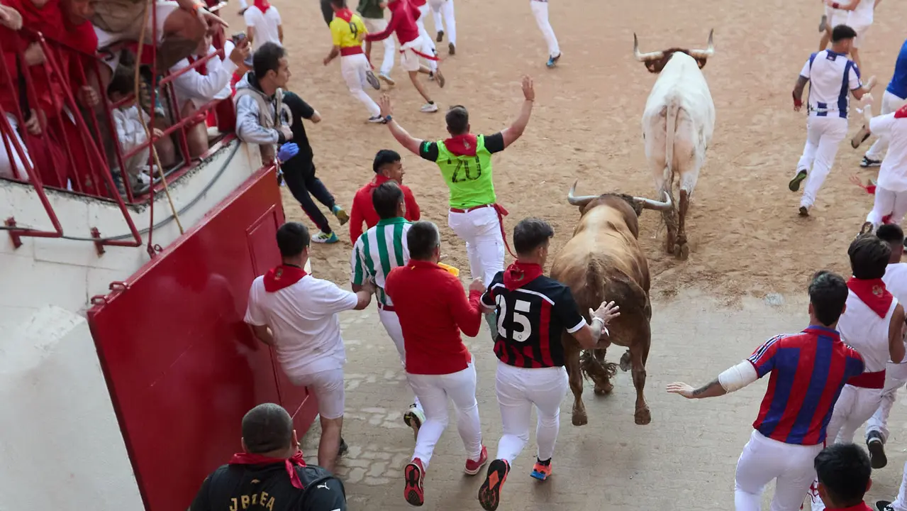 Séptimo encierro de San Fermín 2025 con toros de la ganadería de La Palmosilla en el tramo del callejón y la entrada a la Plaza de Toros. IÑIGO ALZUGARAY
