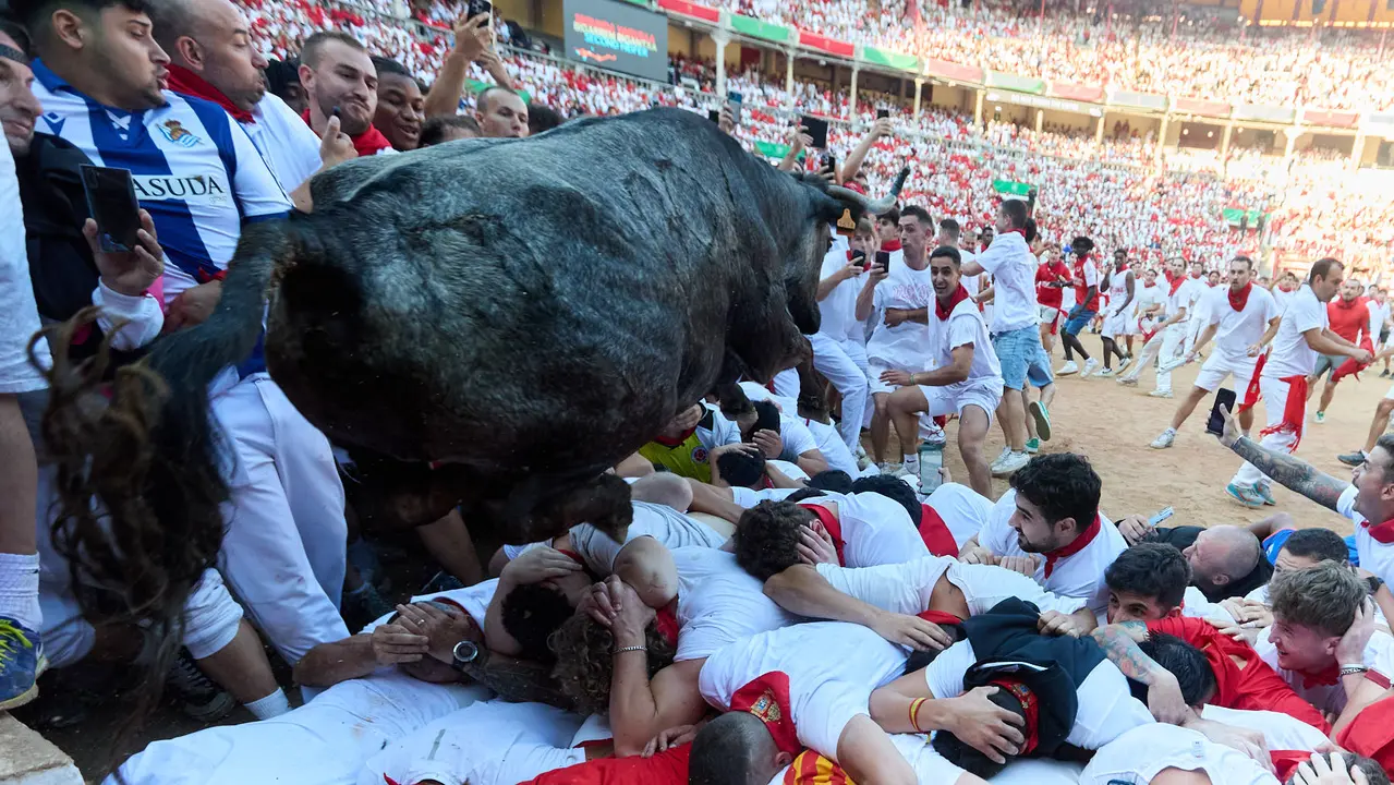 Suelta de vaquillas en la Plaza de Toros de Pamplona tras el séptimo encierro de San Fermín 2025 con toros de la ganadería de La Palmosilla. IÑIGO ALZUGARAY