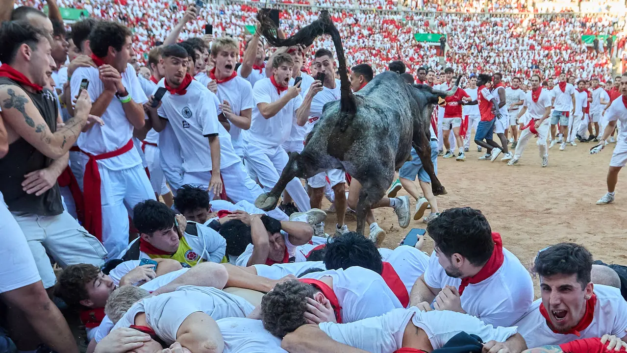 Suelta de vaquillas en la Plaza de Toros de Pamplona tras el séptimo encierro de San Fermín 2025 con toros de la ganadería de La Palmosilla. IÑIGO ALZUGARAY