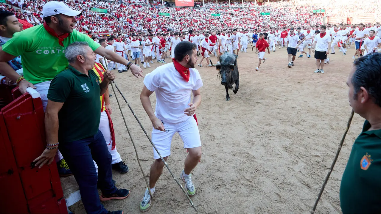 Suelta de vaquillas en la Plaza de Toros de Pamplona tras el séptimo encierro de San Fermín 2025 con toros de la ganadería de La Palmosilla. IÑIGO ALZUGARAY