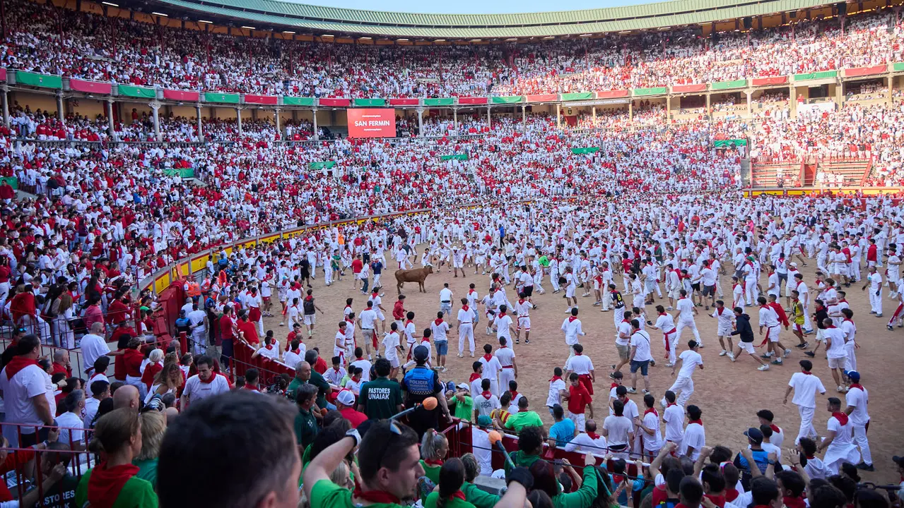 Suelta de vaquillas en la Plaza de Toros de Pamplona tras el séptimo encierro de San Fermín 2025 con toros de la ganadería de La Palmosilla. IÑIGO ALZUGARAY