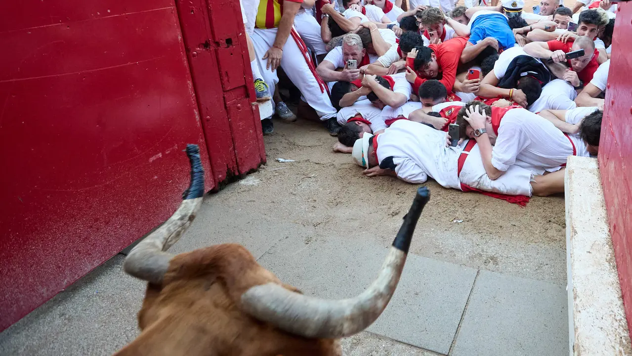 Suelta de vaquillas en la Plaza de Toros de Pamplona tras el séptimo encierro de San Fermín 2025 con toros de la ganadería de La Palmosilla. IÑIGO ALZUGARAY