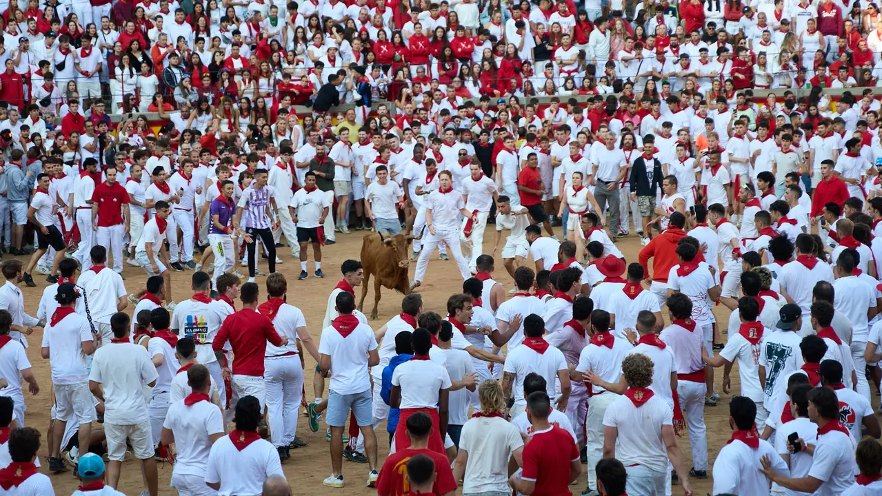 Suelta de vaquillas en la Plaza de Toros de Pamplona tras el séptimo encierro de San Fermín 2025 con toros de la ganadería de La Palmosilla. IÑIGO ALZUGARAY