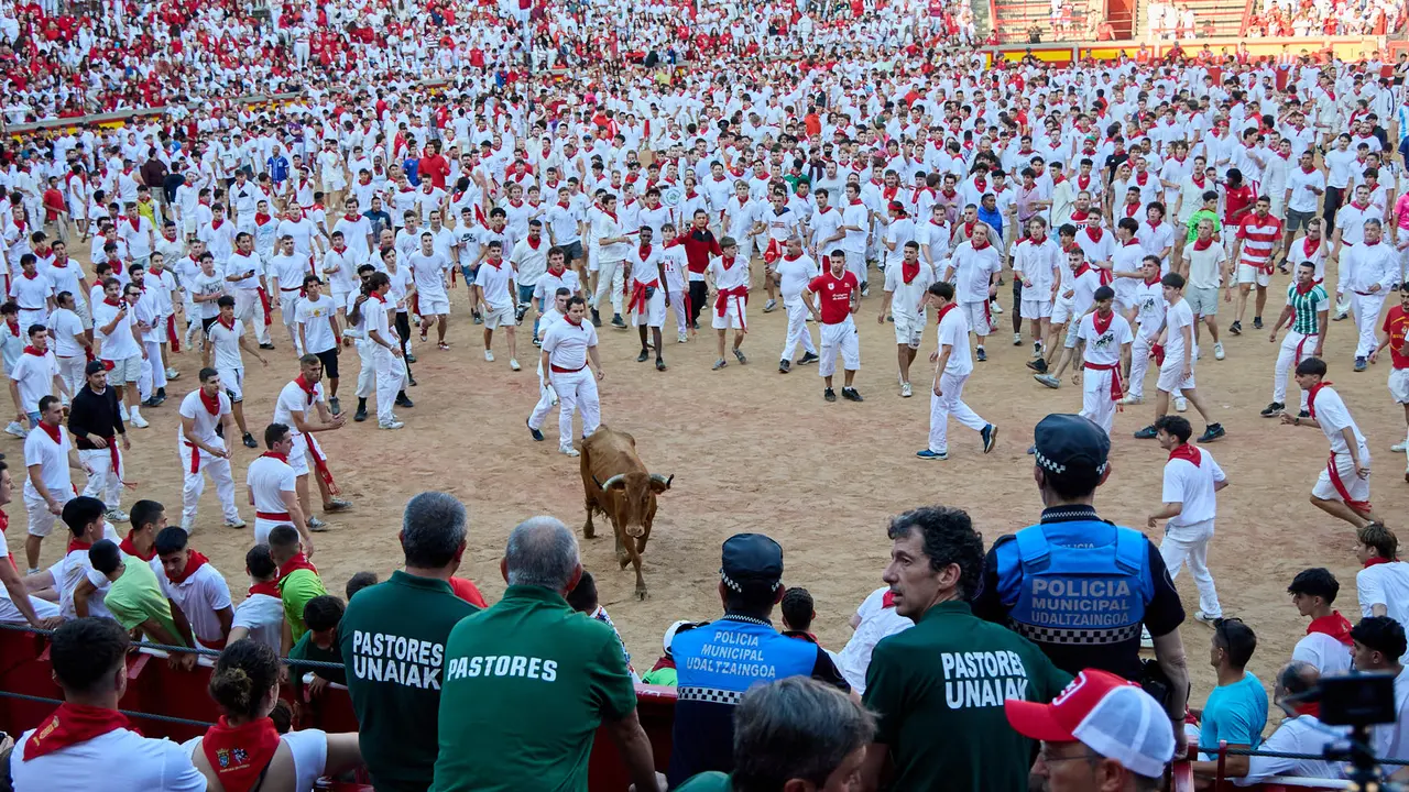 Suelta de vaquillas en la Plaza de Toros de Pamplona tras el séptimo encierro de San Fermín 2025 con toros de la ganadería de La Palmosilla. IÑIGO ALZUGARAY