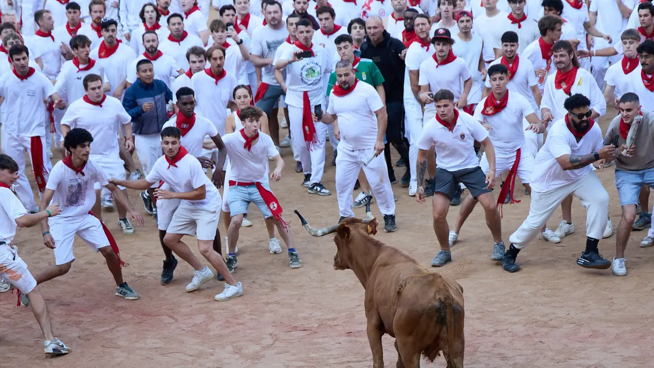 Suelta de vaquillas en la Plaza de Toros de Pamplona tras el séptimo encierro de San Fermín 2025 con toros de la ganadería de La Palmosilla. IÑIGO ALZUGARAY