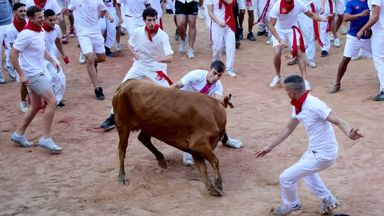 Suelta de vaquillas en la Plaza de Toros de Pamplona tras el séptimo encierro de San Fermín 2025 con toros de la ganadería de La Palmosilla. IÑIGO ALZUGARAY