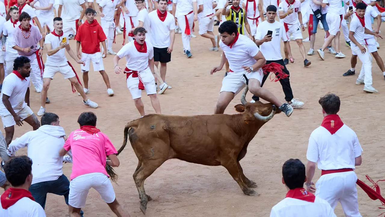 Suelta de vaquillas en la Plaza de Toros de Pamplona tras el séptimo encierro de San Fermín 2025 con toros de la ganadería de La Palmosilla. IÑIGO ALZUGARAY