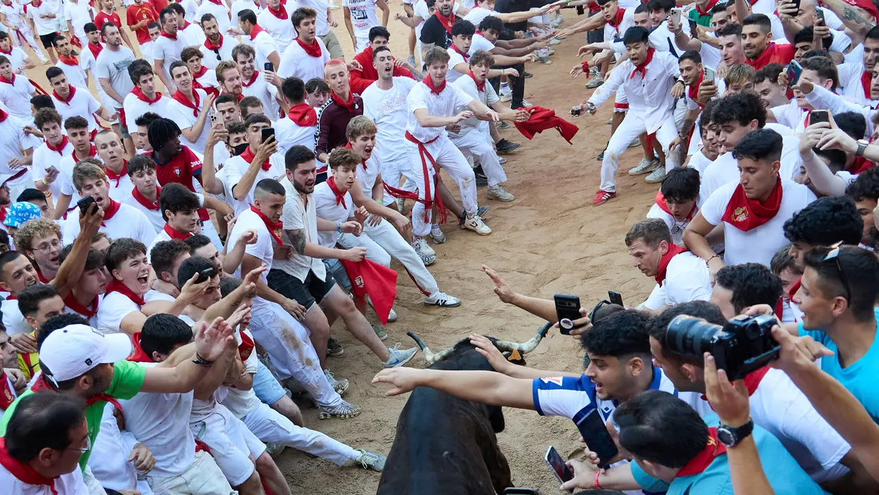 Suelta de vaquillas en la Plaza de Toros de Pamplona tras el séptimo encierro de San Fermín 2025 con toros de la ganadería de La Palmosilla. IÑIGO ALZUGARAY