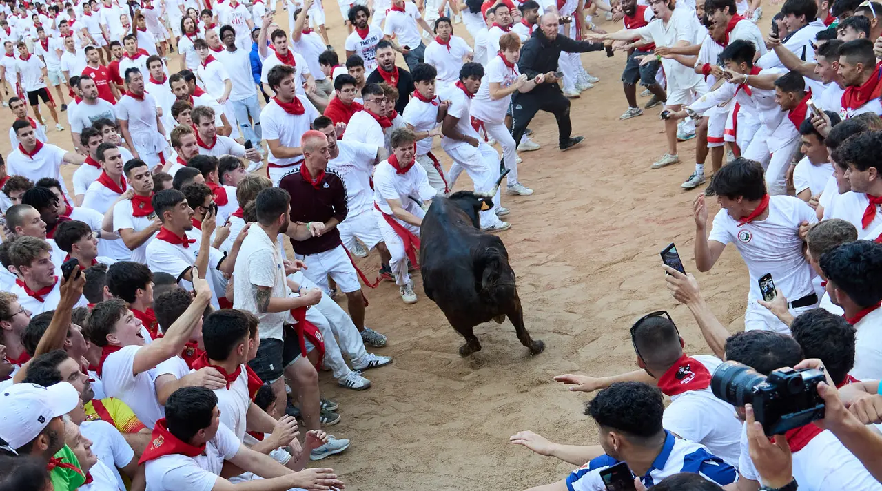 Suelta de vaquillas en la Plaza de Toros de Pamplona tras el séptimo encierro de San Fermín 2025 con toros de la ganadería de La Palmosilla. IÑIGO ALZUGARAY