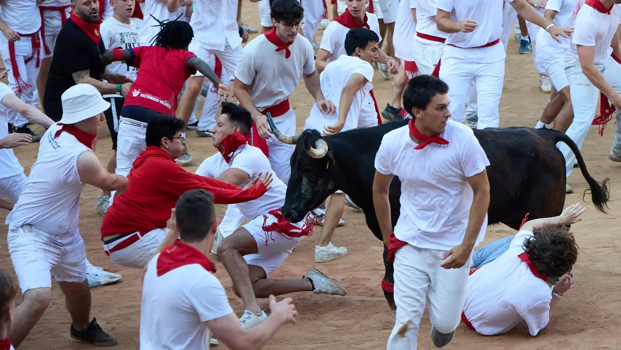 Suelta de vaquillas en la Plaza de Toros de Pamplona tras el séptimo encierro de San Fermín 2025 con toros de la ganadería de La Palmosilla. IÑIGO ALZUGARAY