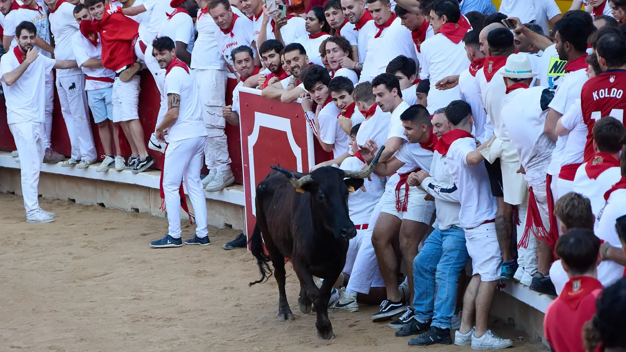 Suelta de vaquillas en la Plaza de Toros de Pamplona tras el séptimo encierro de San Fermín 2025 con toros de la ganadería de La Palmosilla. IÑIGO ALZUGARAY