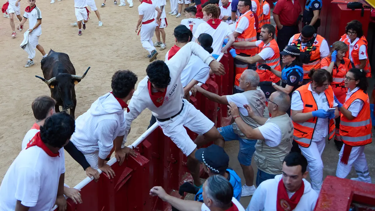 Suelta de vaquillas en la Plaza de Toros de Pamplona tras el séptimo encierro de San Fermín 2025 con toros de la ganadería de La Palmosilla. IÑIGO ALZUGARAY