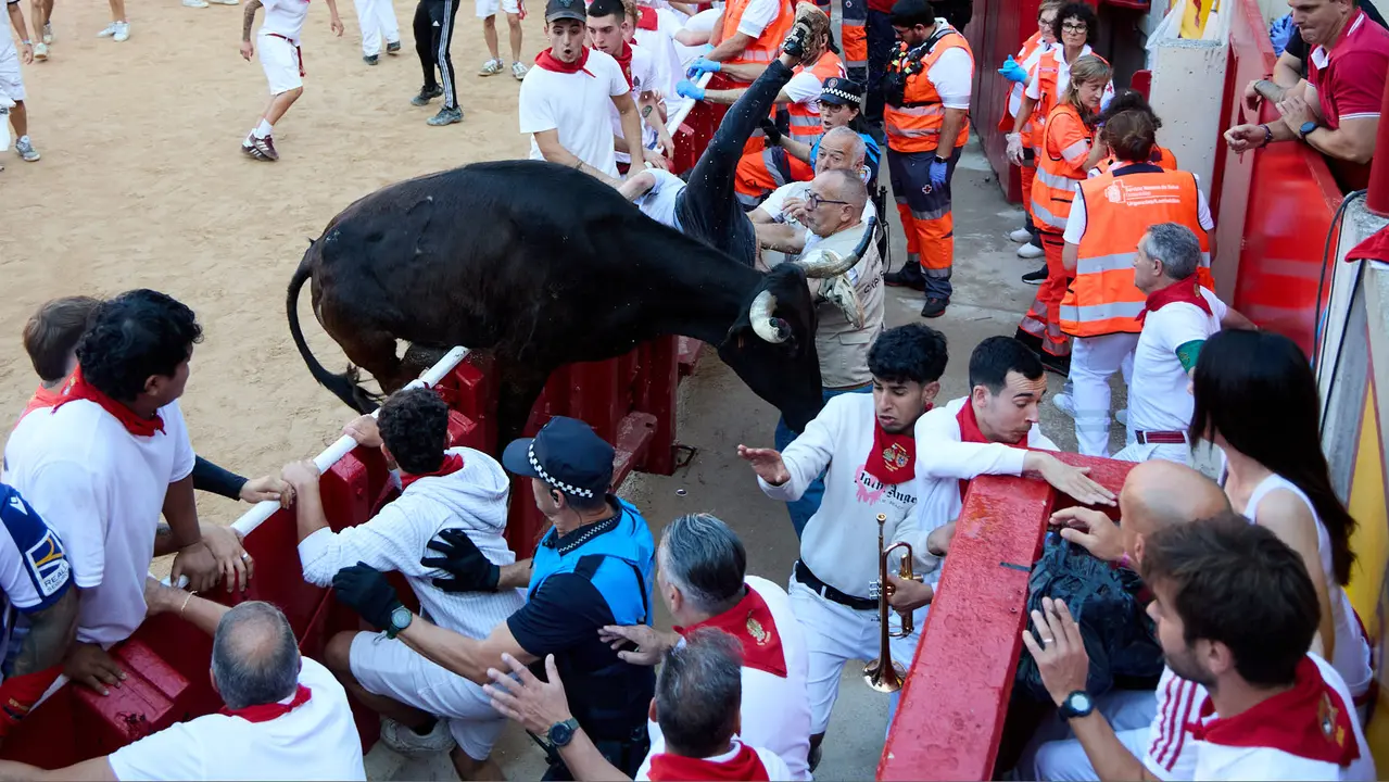 Suelta de vaquillas en la Plaza de Toros de Pamplona tras el séptimo encierro de San Fermín 2025 con toros de la ganadería de La Palmosilla. IÑIGO ALZUGARAY