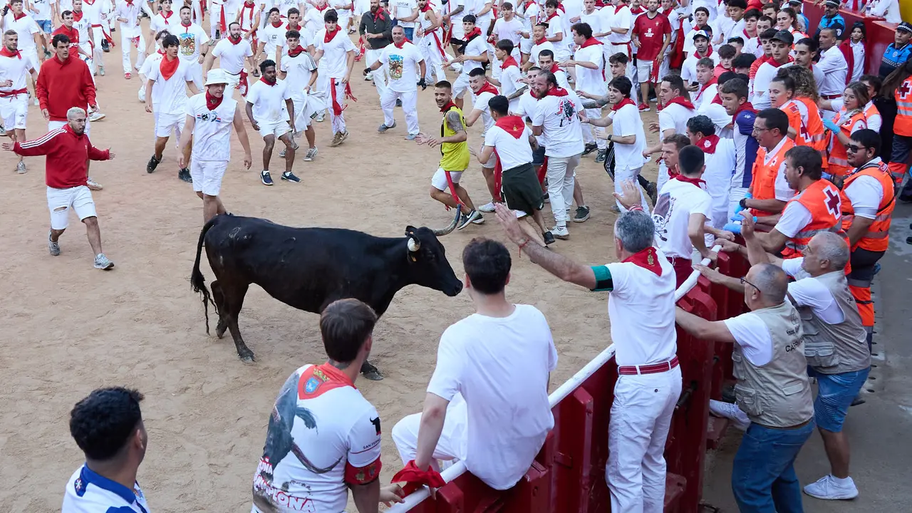 Suelta de vaquillas en la Plaza de Toros de Pamplona tras el séptimo encierro de San Fermín 2025 con toros de la ganadería de La Palmosilla. IÑIGO ALZUGARAY