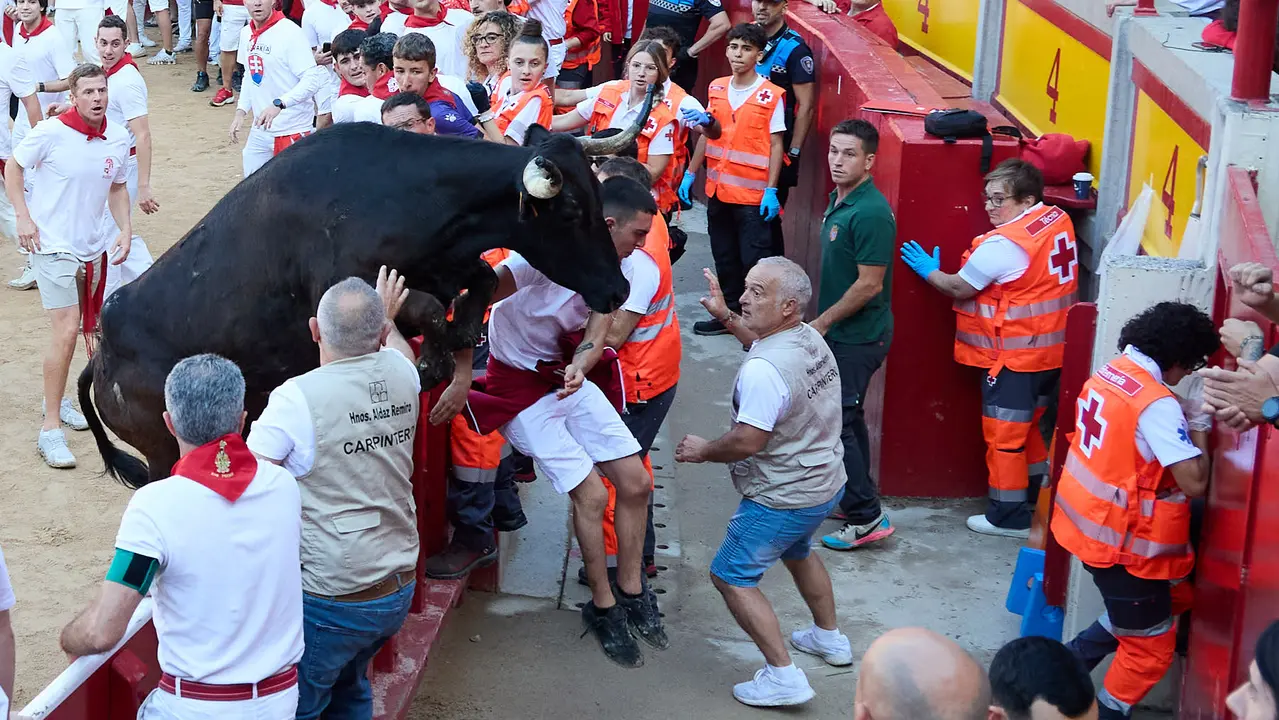 Suelta de vaquillas en la Plaza de Toros de Pamplona tras el séptimo encierro de San Fermín 2025 con toros de la ganadería de La Palmosilla. IÑIGO ALZUGARAY
