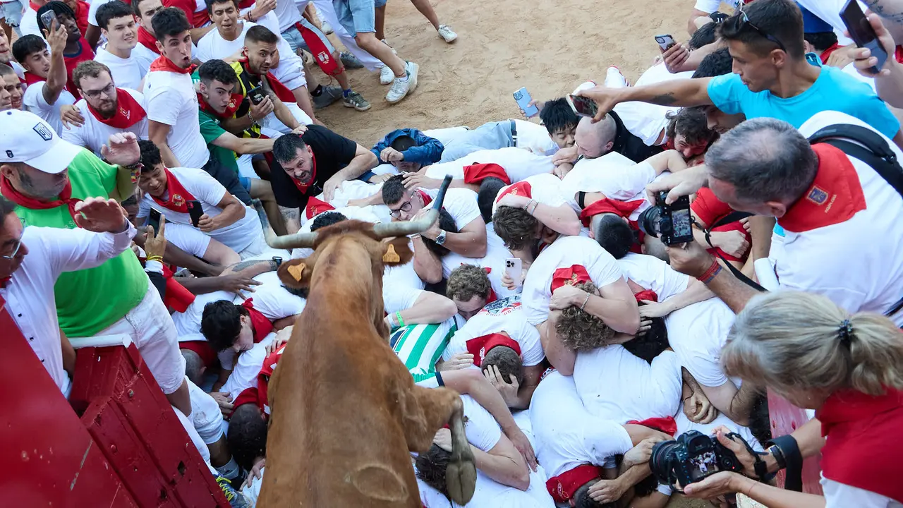 Suelta de vaquillas en la Plaza de Toros de Pamplona tras el séptimo encierro de San Fermín 2025 con toros de la ganadería de La Palmosilla. IÑIGO ALZUGARAY