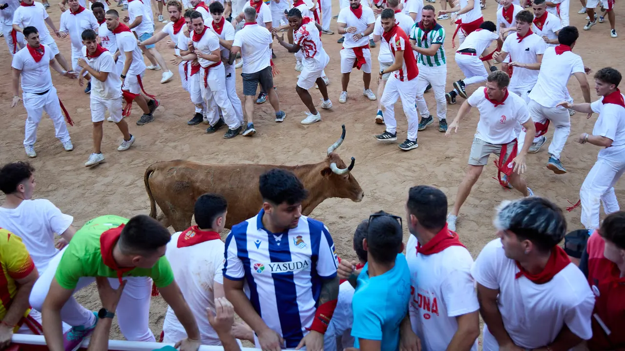 Suelta de vaquillas en la Plaza de Toros de Pamplona tras el séptimo encierro de San Fermín 2025 con toros de la ganadería de La Palmosilla. IÑIGO ALZUGARAY