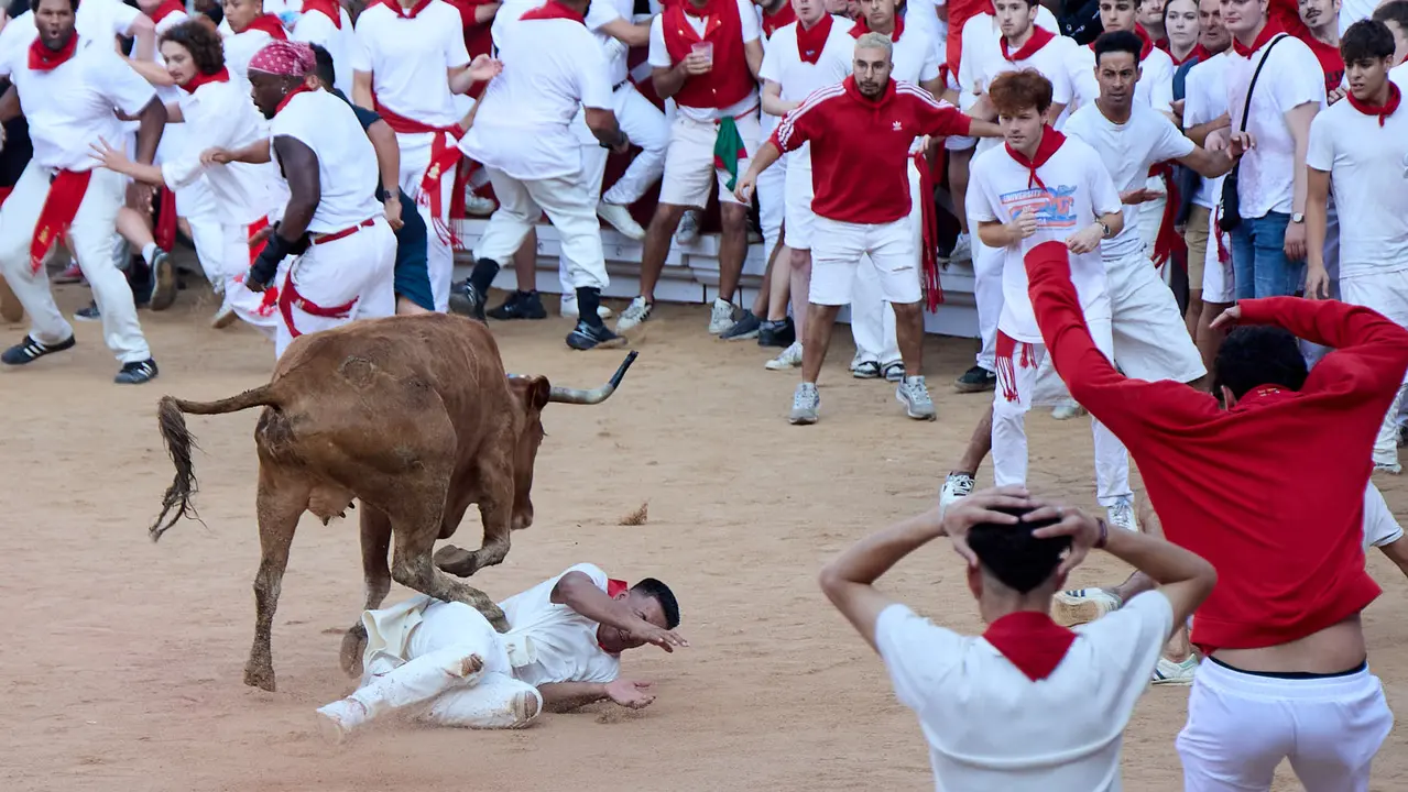 Suelta de vaquillas en la Plaza de Toros de Pamplona tras el séptimo encierro de San Fermín 2025 con toros de la ganadería de La Palmosilla. IÑIGO ALZUGARAY