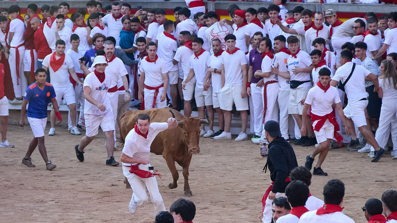 Suelta de vaquillas en la Plaza de Toros de Pamplona tras el séptimo encierro de San Fermín 2025 con toros de la ganadería de La Palmosilla. IÑIGO ALZUGARAY