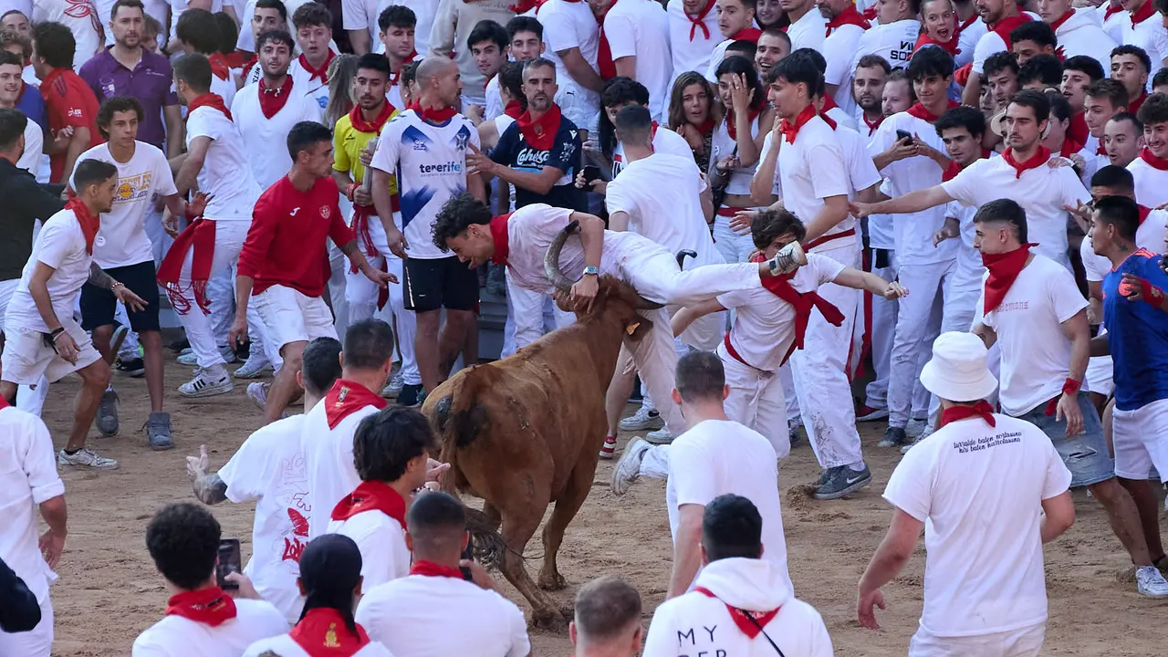 Suelta de vaquillas en la Plaza de Toros de Pamplona tras el séptimo encierro de San Fermín 2025 con toros de la ganadería de La Palmosilla. IÑIGO ALZUGARAY