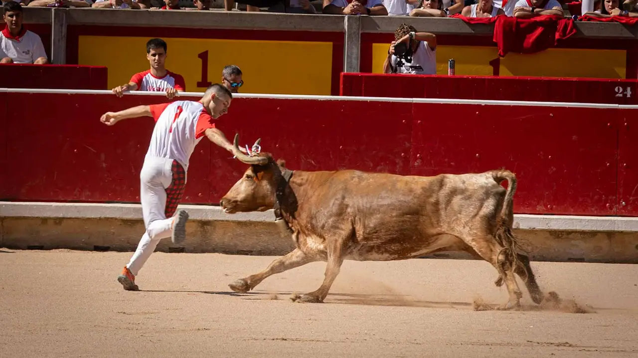 Concurso de anillas en la plaza de toros de Pamplona. Maite H. Mateo..-01